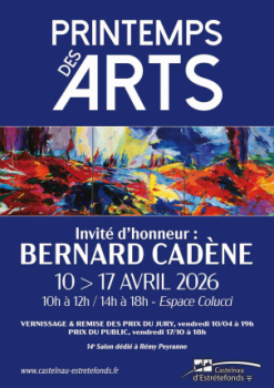 Affiche - 14ème Printemps des arts